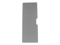 Thetford Flush Door 5 Infill Grey RAL9006 GRP
