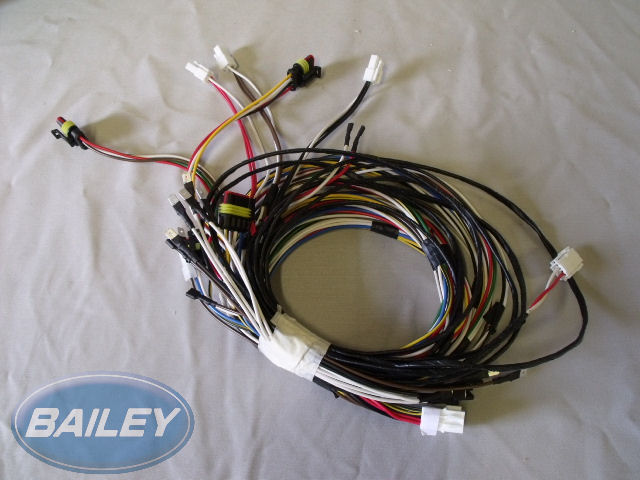 Pegasus II Rear Panel Wiring Loom