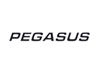 Read more about Pegasus Grande 