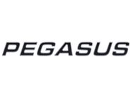 Pegasus Grande "PEGASUS" Name Decal