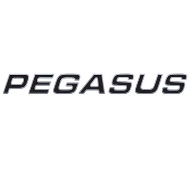 Pegasus Grande 