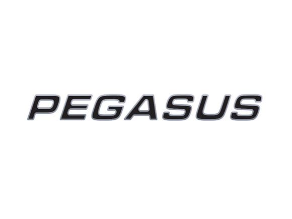 Pegasus Grande "PEGASUS" Name Decal product image