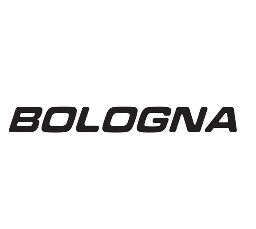 Pegasus Grande Bologna Name Decal