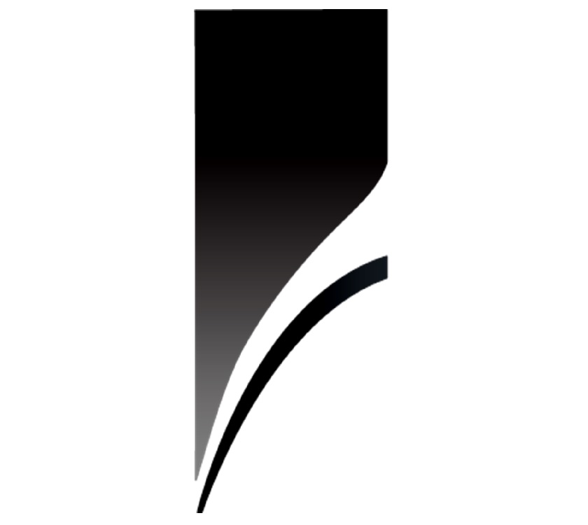 DY1 Discovery N/S Front Decal