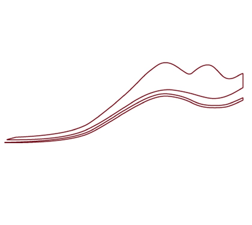 DY1 Discovery D4-4 N/S White Wrap Around Decal