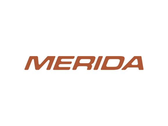 UNB Merida Model Name Decal product image
