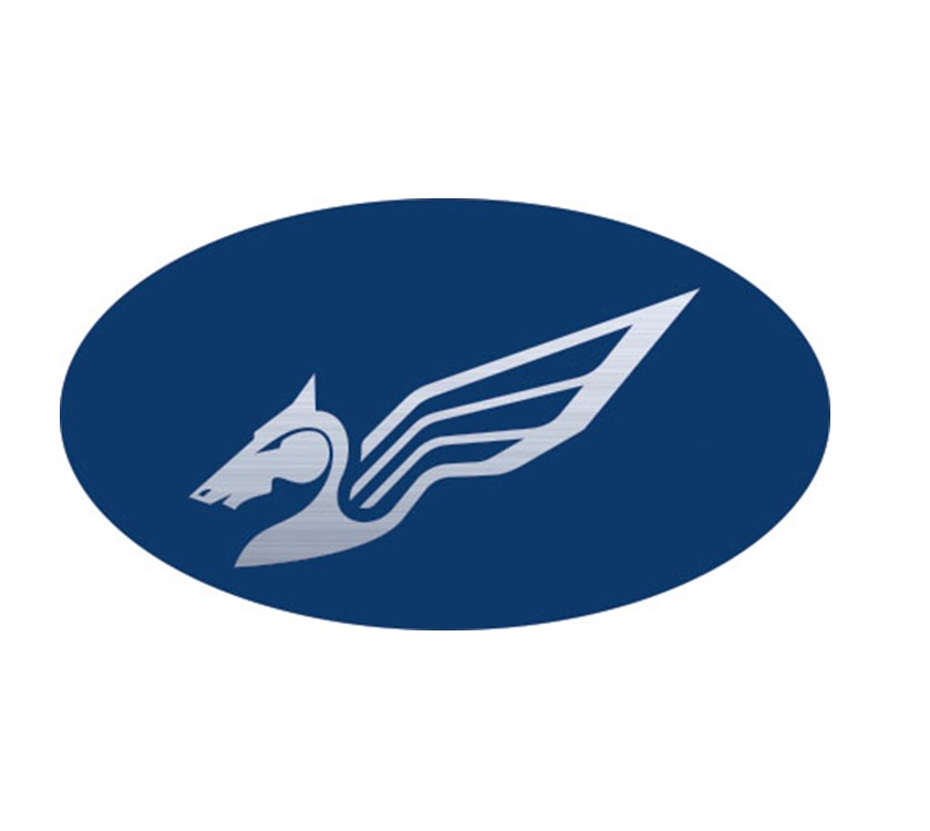 Read more about Pegasus Grande SE Resin Oval Decal product image