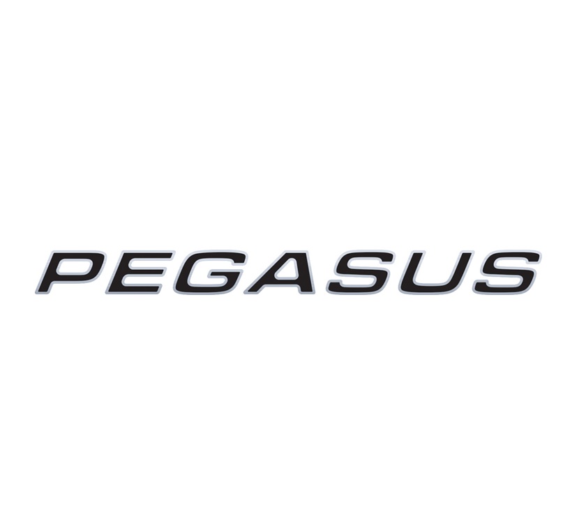 Pegasus Grande SE Pegasus Side Name Decal