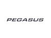 Read more about Pegasus Grande SE Pegasus Side Name Decal product image