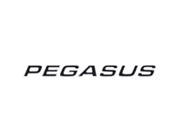 Pegasus Grande SE Pegasus Side Name Decal