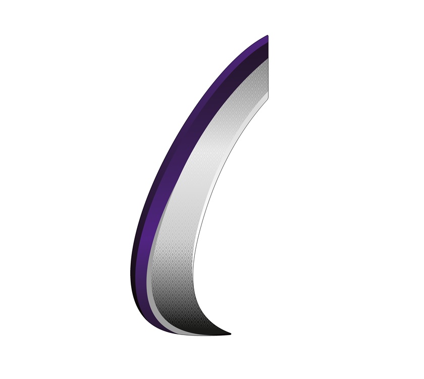 Read more about Phoenix + N/S Front Swoosh Decal B product image