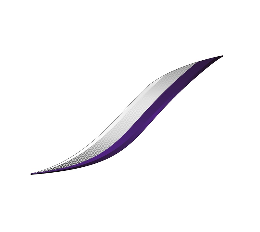 Phoenix + N/S Rear Swoosh Decal A