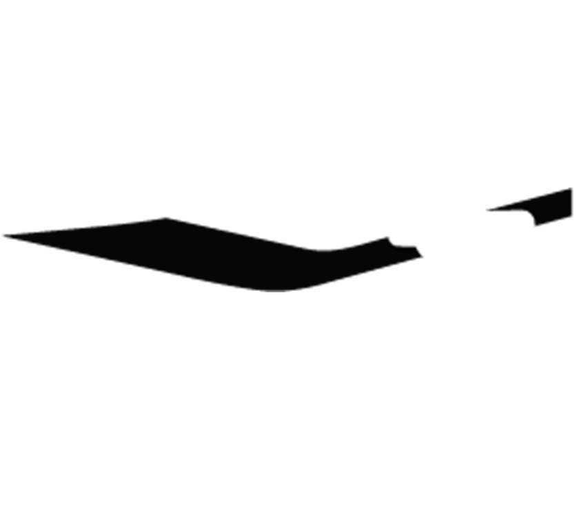 EV1 Adamo N/S Cab Lower Black Decal