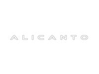 AG2 Alicanto Window Name Decal