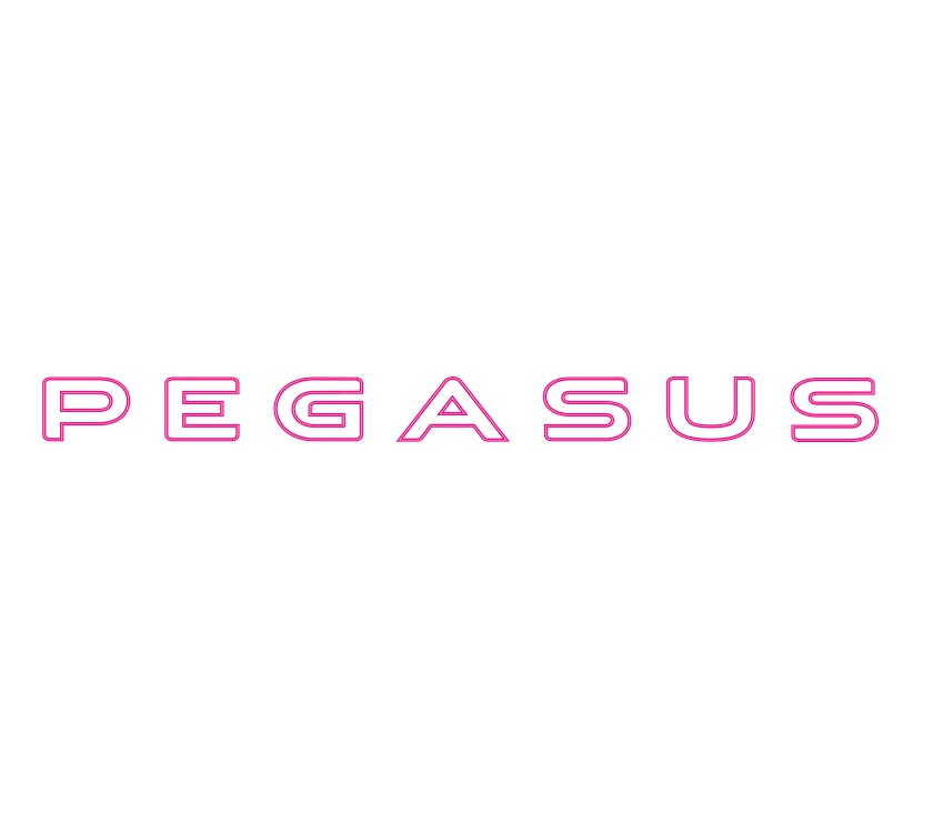 Read more about Pegasus GT75 White Front Window Name Decal  product image