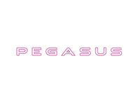 Pegasus GT75 White Front Window Name Decal
