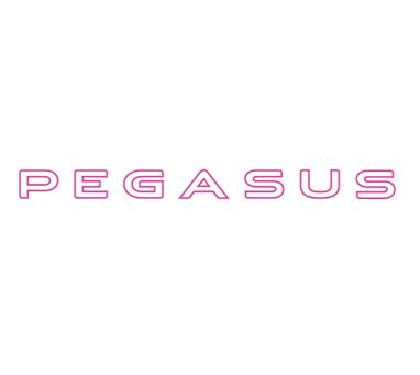 Pegasus GT75 White Front Window Name Decal