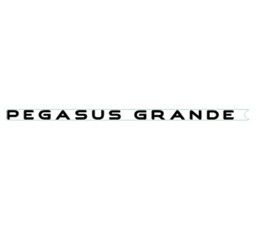 PG2 Pegasus GT75 Side Pegasus Grande Name Decal