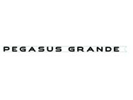 PG2 Pegasus GT75 Side Pegasus Grande Name Decal