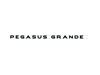 Read more about PG2 Pegasus GT75 Side Pegasus Grande Name Decal product image