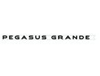 PG2 SIDE  PGASUS GRANDE NAME