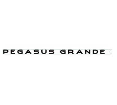 PG2 SIDE  PGASUS GRANDE NAME