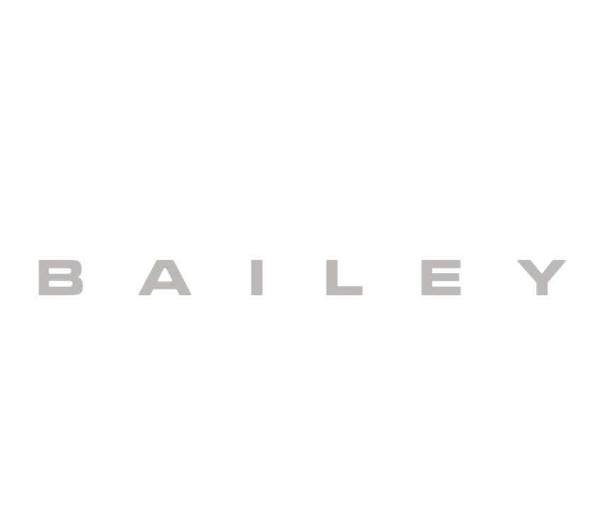 Read more about ER1 Endeavour Brushed Aluminium BAILEY Name Decal - Front Roof Light product image