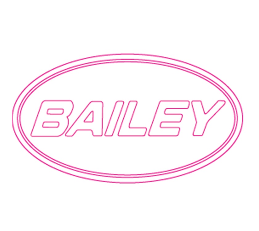 ER1 Endeavour AA1 Alora Brushed Aluminium BAILEY Oval Decal - Door 95x53mm