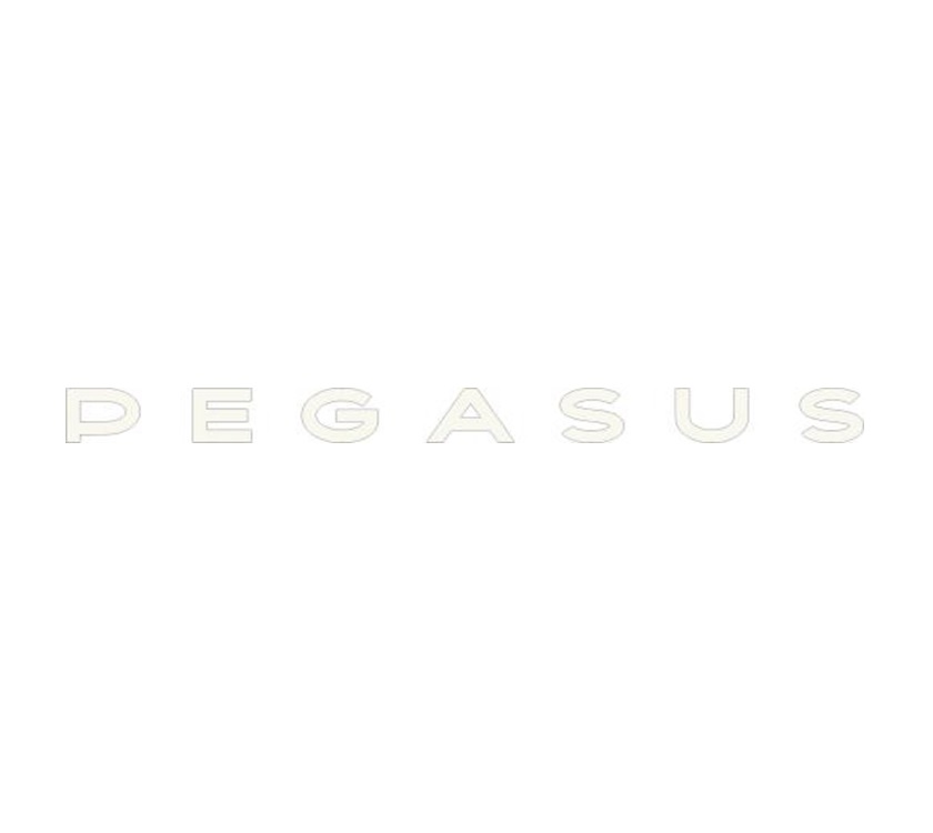 Read more about PG4 Pegasus Grande Black Edition Front PEGASUS Name Decal product image