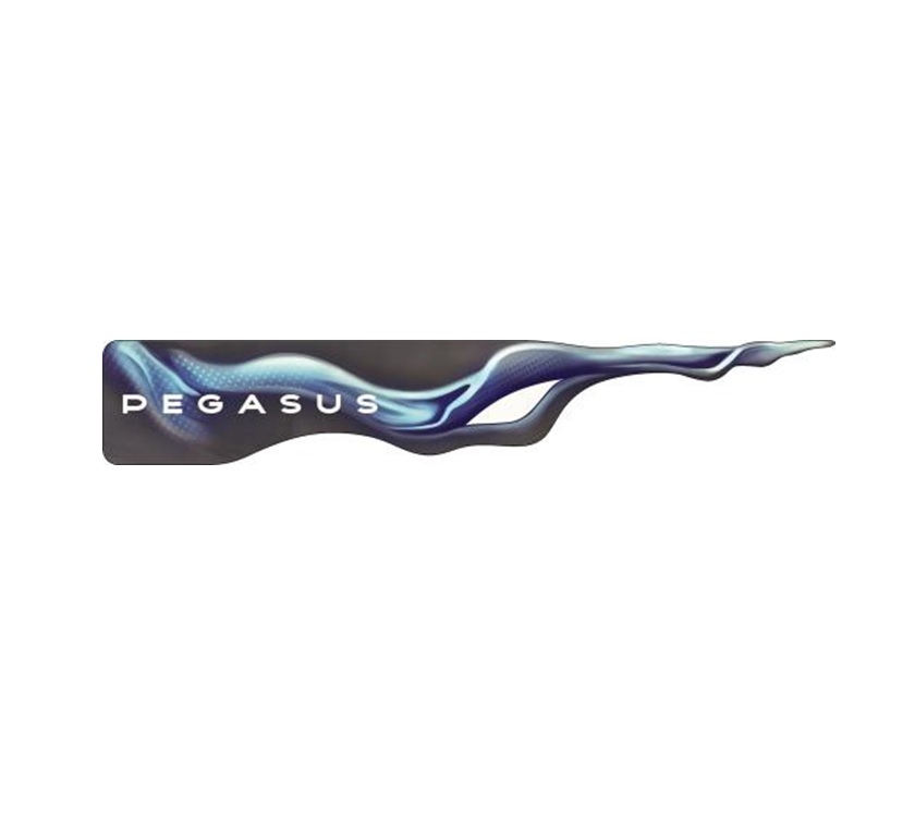 Read more about PG4 Pegasus Grande Black Edition Rear PEGASUS Name Decal product image