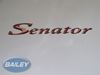 Read more about S5 Senator Name Decal product image