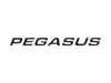 Read more about Pegasus IV & GT70 Pegasus Name Decal product image