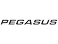 Pegasus IV & GT70 Pegasus Name Decal