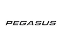 Pegasus IV & GT70 Pegasus Name Decal