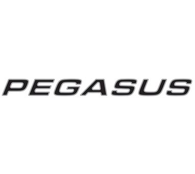 Pegasus IV Pegasus Name Decal