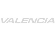 Unicorn IV Valencia Light Grey Name Decal