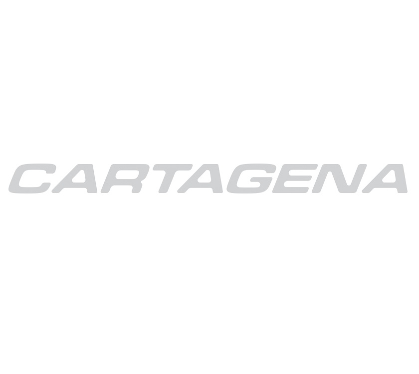 Unicorn IV Cartagena Light Grey Name Decal