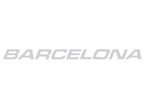 Unicorn IV Barcelona Chrome Name Decal