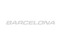 Unicorn IV Barcelona Light Grey Name Decal