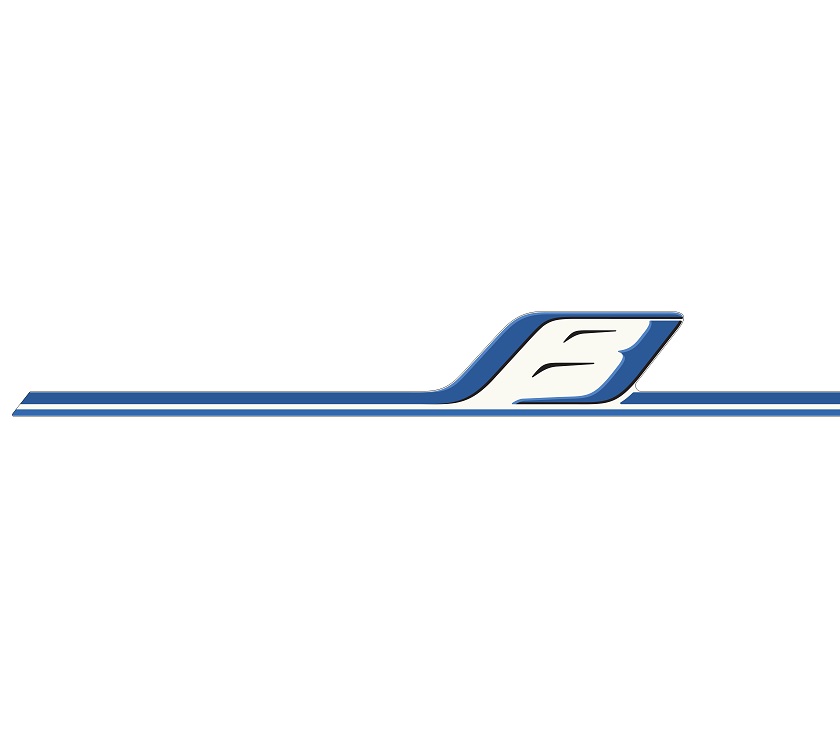 Pegasus GT70 N/S Rear B Decal