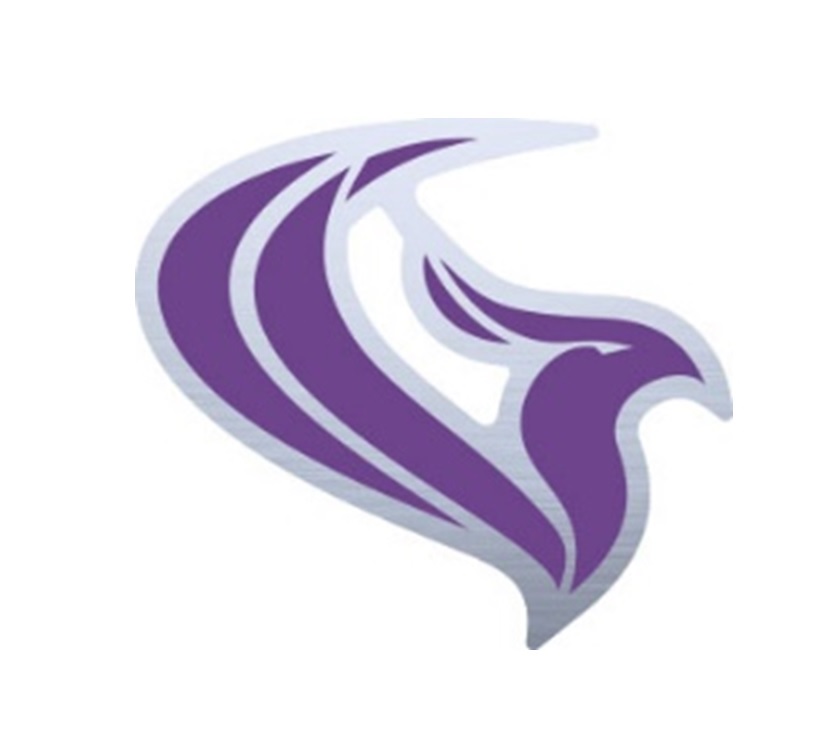 Phoenix N/S Main Side Phoenix Head Decal