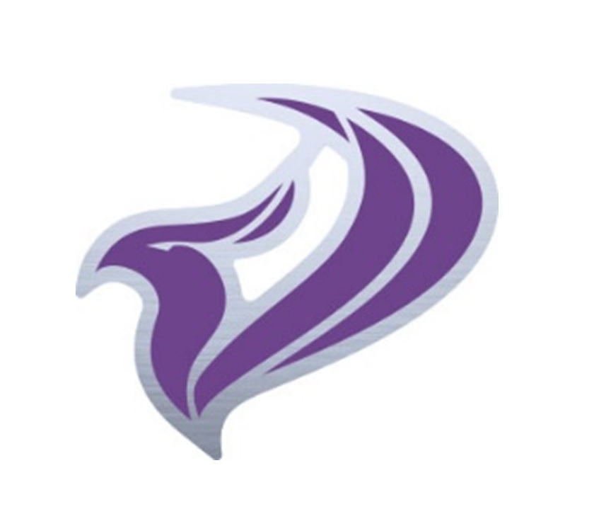 Front Phoenix Head Decal for Oval