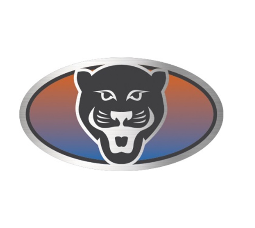 Read more about PX1 Panther Front Oval Resin Decal product image