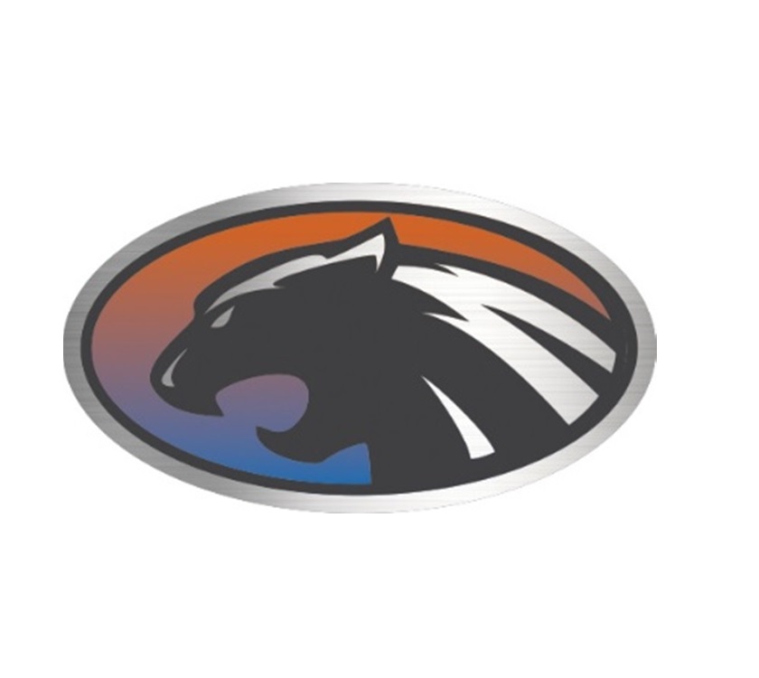 PX1 Panther N/S Oval Resin Decal