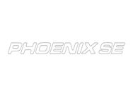 PX1 Phoenix SE Interior Mirror Decal