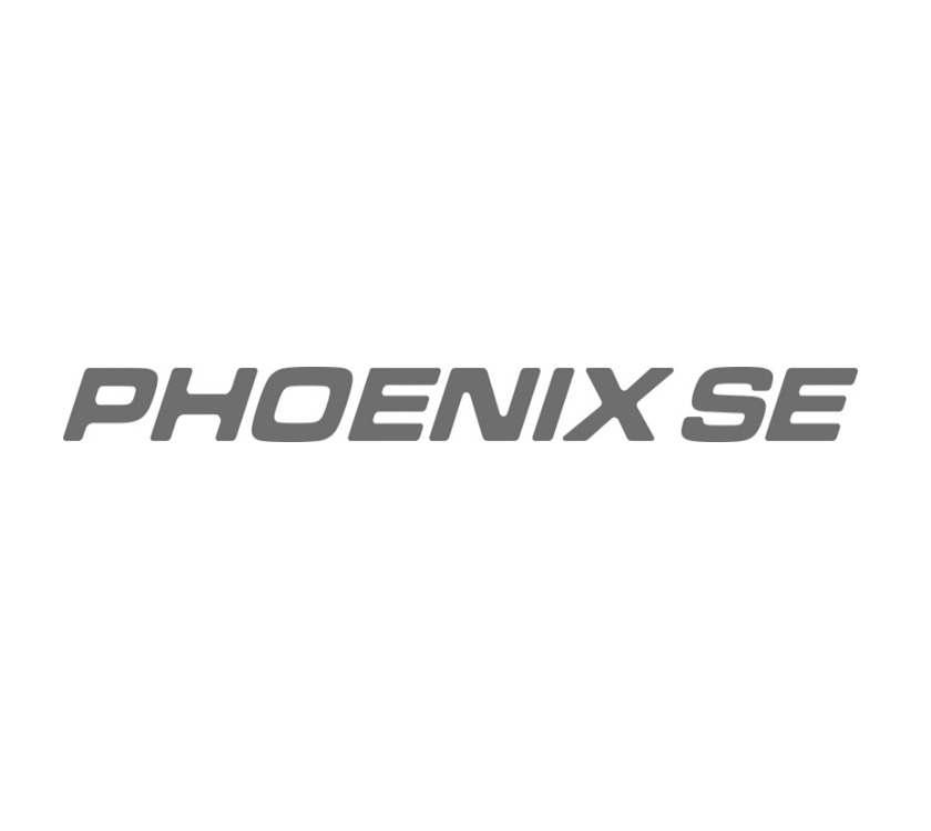 Read more about PX1 Phoenix SE Interior Roof Light Name Decal product image