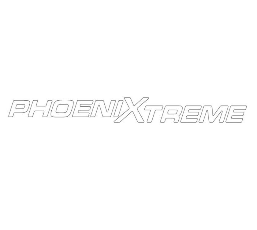 PX1 Xtreme Interior Mirror Decal