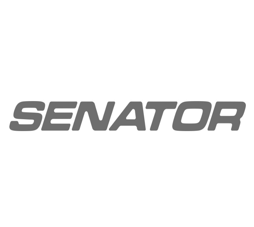 PX1 Interior Senator Roof Light Resin Decal