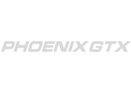 PX1 Interior Phoenix GTX Mirror Decal