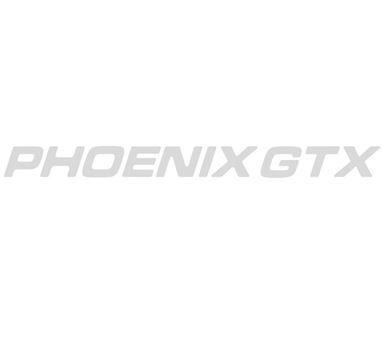 PX1 Interior Phoenix GTX Mirror Decal